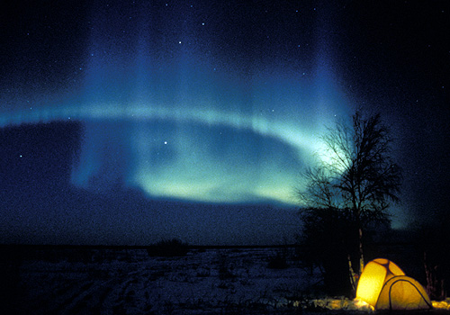 Северные сияния фотографа Paul Nicklen (19 фото)