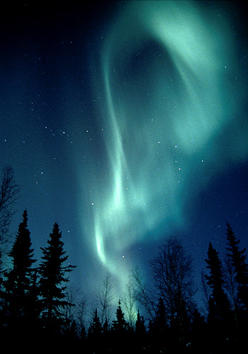 Северные сияния фотографа Paul Nicklen (19 фото)
