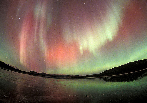    Paul Nicklen (19 )