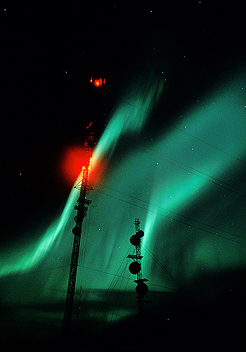    Paul Nicklen (19 )