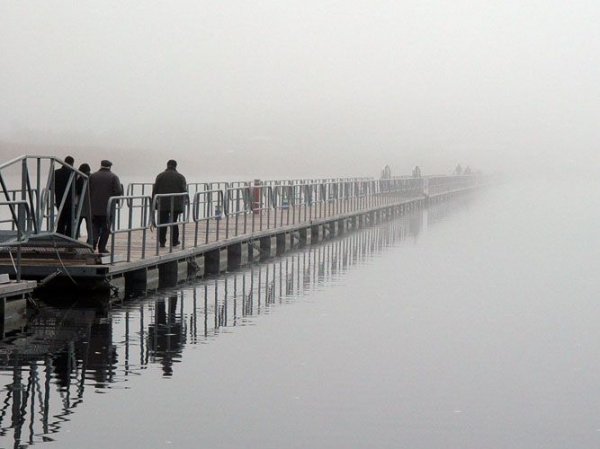 SONY WORLD PHOTOGRAPHY AWARDS - 2008