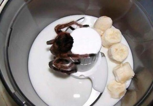 Банановый коктейль с тарантулом