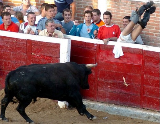 Фотозагадка дня: Убегает от бычка