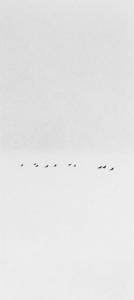   ... Michael Kenna (148 )