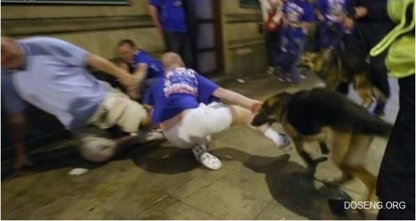 Полиция Манчестера натравила собак на болельщиков (6 фото)
