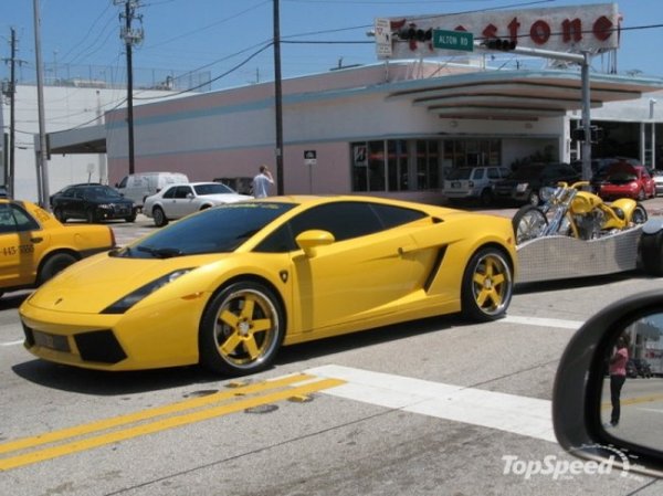 Lamborghini Gallardo      (8 )