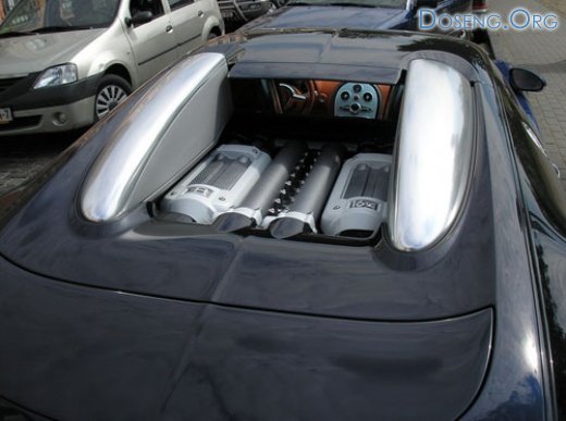 Bugatti Veyron   (3   )