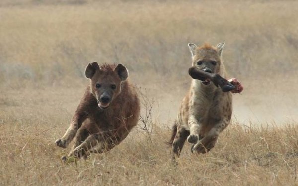 National Geographic Contest 2007