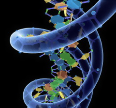 Искусственные ДНК – альтернатива любому носителю информации