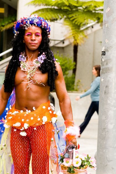 Гей парад. Сан-Франсиско 2008