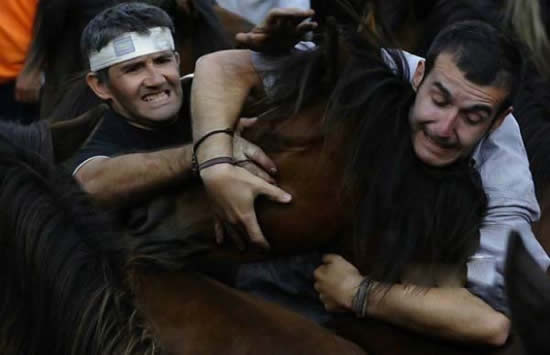Лошадиные бои в Испании (15 фото)