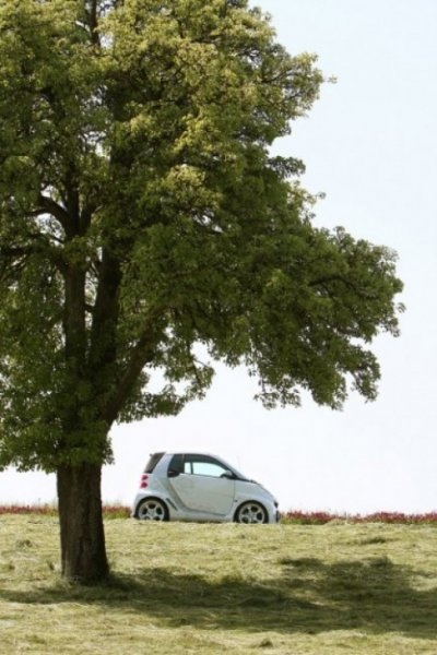 Koenigseder Smart ForTwo