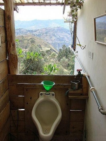 Необычный туалет