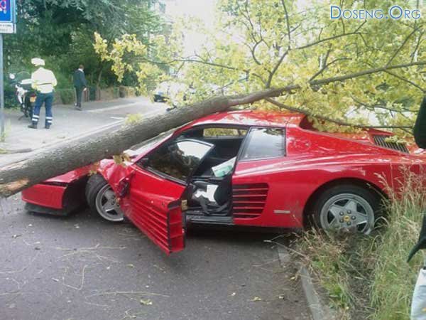 Ferrari Testarossa снесла деревце