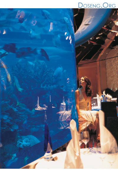 Burj Al Arab -     