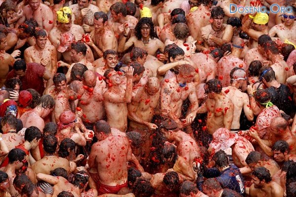     (La Tomatina)  