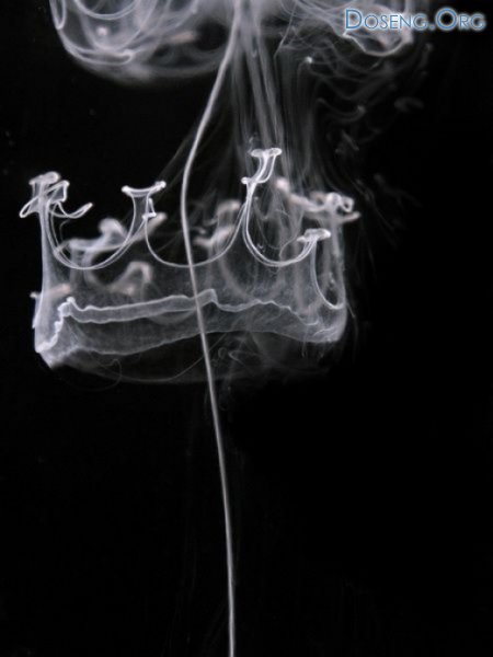 Smoke art