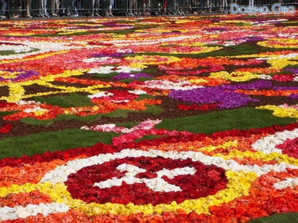 Цветочный фестиваль