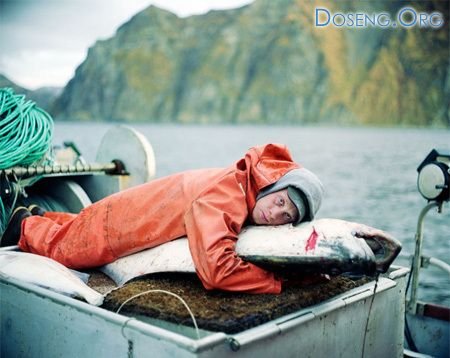 Каково быть рыболовом в Арктике. 8 фото