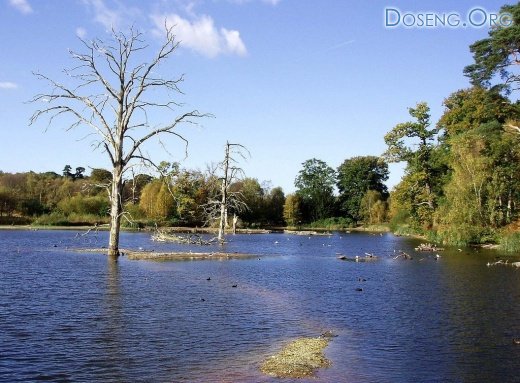 Nottinghamshire,    