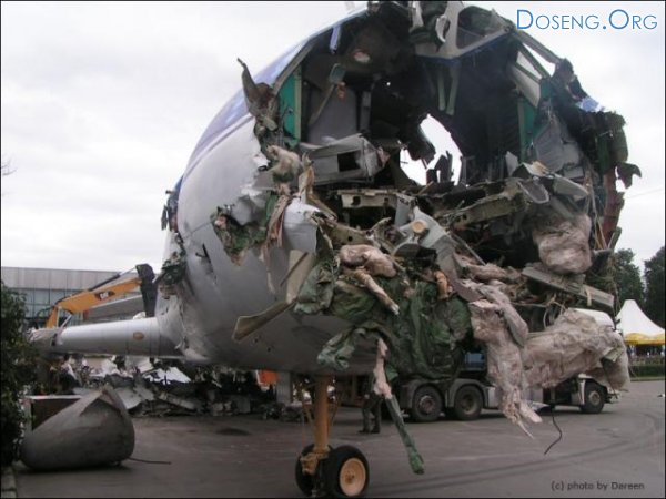 Гады, разрушили самолет. 8 фото