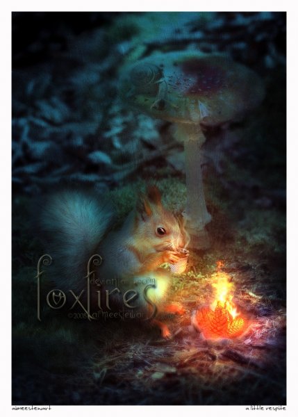 Illustrations from Foxfires