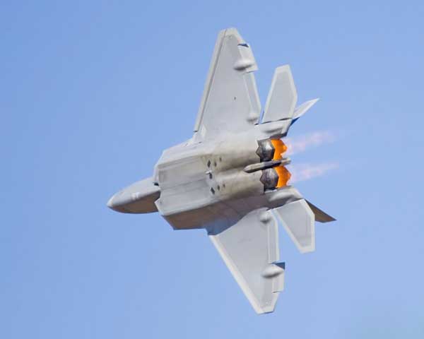 F-22 Raptor -    (8 )