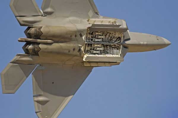 F-22 Raptor -    (8 )