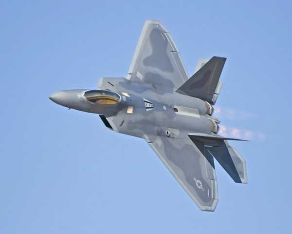 F-22 Raptor -    (8 )