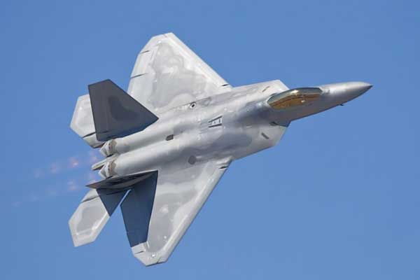 F-22 Raptor -    (8 )