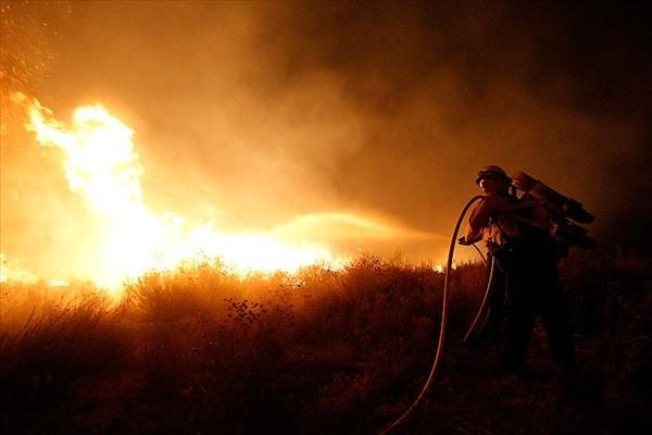 Лесные пожары в окрестностях Лос-Анджелеса (9 фото)