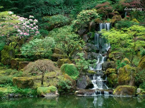Японский сад (48 фото)