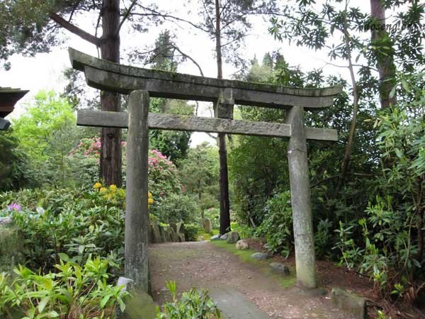 Японский сад (48 фото)