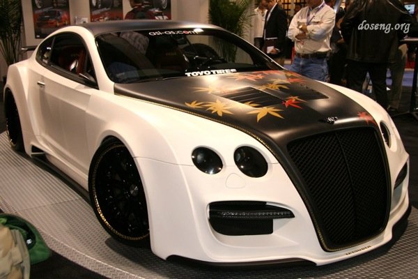 - SEMA-2008  - (44 )