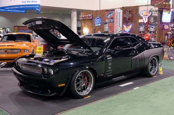 - SEMA-2008  - (44 )