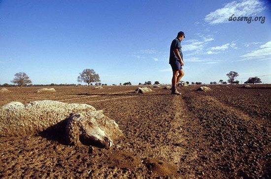 Пока мы тут замерзаем, в Австралии - засуха (11 фото)
