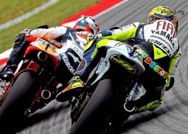   MOTO GP (10 )