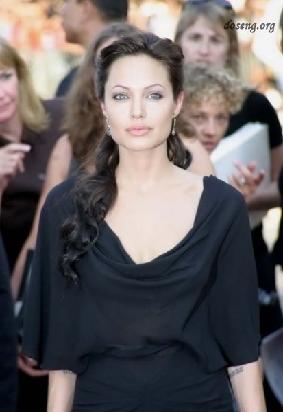  ,    Angelina Jolie (118  )