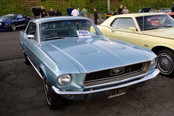 45   Ford Mustang (19 )