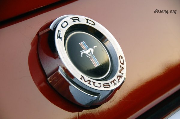 45   Ford Mustang (19 )