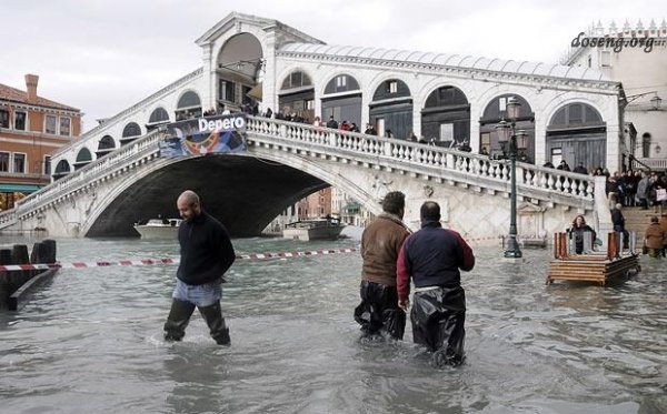 Венеция уходит под воду (15 фото)
