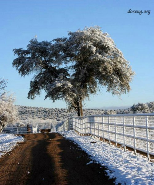 Красота зимы (27 фото)
