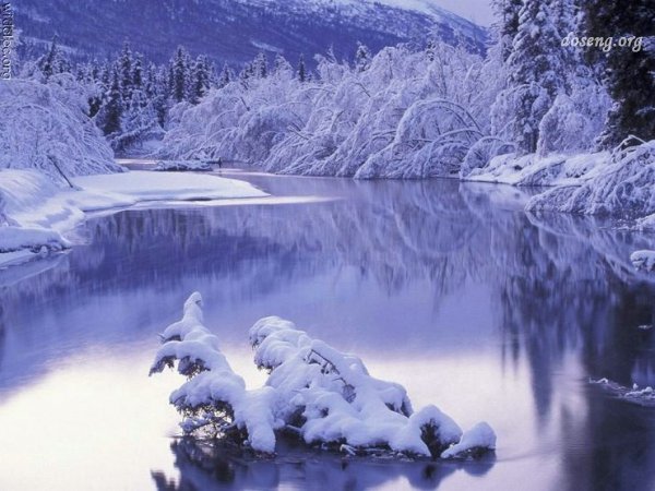 Красота зимы (27 фото)
