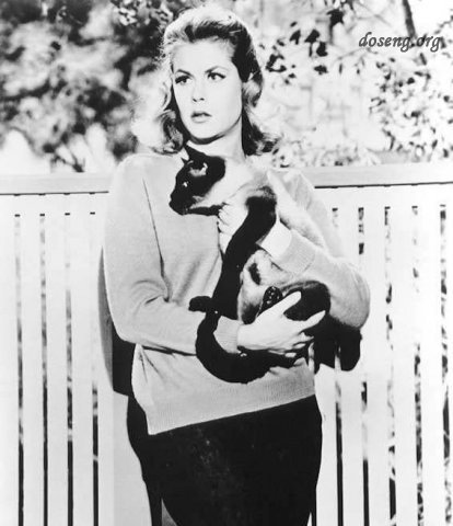  / Elizabeth Montgomery -   