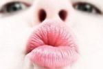 35 неизвестных фактов о поцелуях