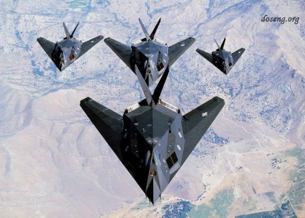  F-117 Nighthawk (18 )