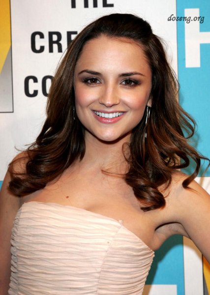 Rachael Leigh Cook  at the Creative Coalitions 2009 Inaugural Ball