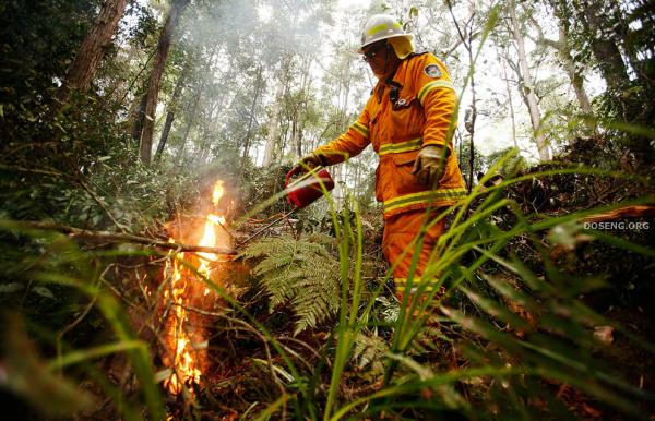 Лесные пожары в штате Виктория, Австралия (36 фото)