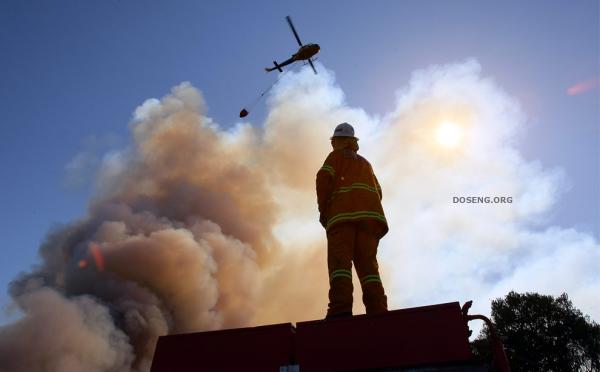 Лесные пожары в штате Виктория, Австралия (36 фото)