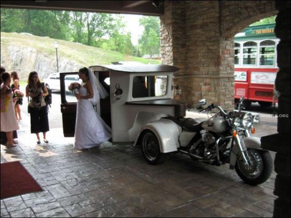 Необычный свадебный транспорт (19 фото)